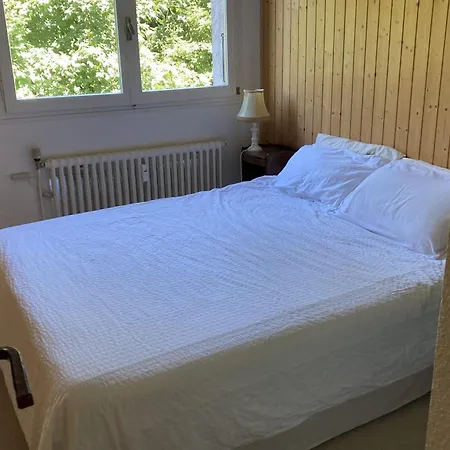 Apartament Mountain With View And Optimal Comfort Megève